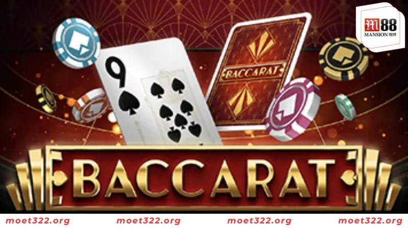 Theo dõi các nhóm kéo uy tín trên nền tảng Telegram