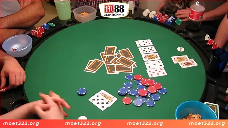 Studio Europe Thiên Đường Giải Trí Đình Cao Nhất Năm 2025 5 05 sản phẩm tạo nên thương hiệu cho Studio Europe