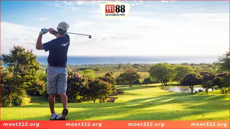 Thăng Hoa Cùng Golden Tour M88 - Thiên Đường Giải Trí 2025 3 Cấu trúc và cách chơi Golden Tour chính xác nhất