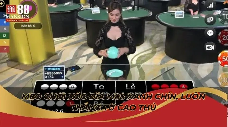 Mẹo chơi Xóc Đĩa M88 xanh chín, luôn thắng từ cao thủ