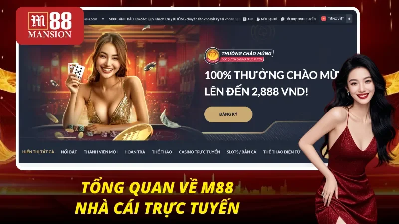 M88 33 Cái nhìn tổng quan nhất về nhà cái M88